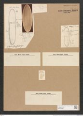 Nitzschia graeffei Grun. (de-Toni-Nr.: Genus 47, Species 2028) Zeichnungen Sammlung Grunow Nr. 4009 (NHMW-BOT-W0371809)